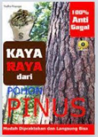 Image of Kaya Raya dari Pohon Pinus 100 % Anti Gagal : Mudah dipraktekkan dan Langsung Bisa