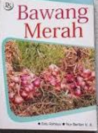 Image of Bawang Merah
